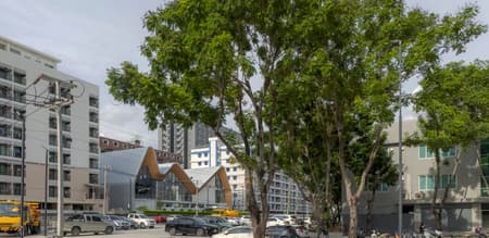 HEYDAY Community Hub